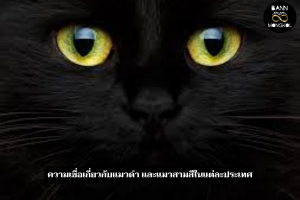ความเชื่อเกี่ยวกับแมวดำ และแมวสามสีในแต่ละประเทศ